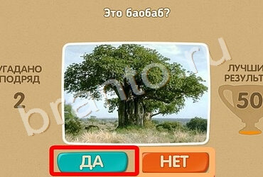 Одноклассники Проверь себя ответы Уровень 968