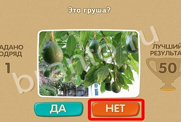 Игра Проверь себя ответы Уровень 977