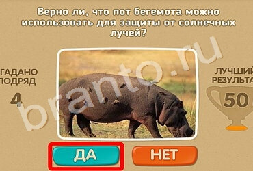 игра Проверь себя помощь Уровень 989
