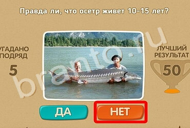 игра Проверь себя ответ на Уровень 990