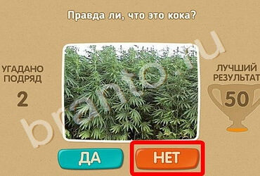 Проверь себя подсказки одноклассники Уровень 999