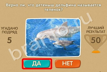 Проверь себя решения Уровень 1002