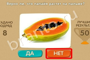 Проверь себя игра помощь Уровень 1005