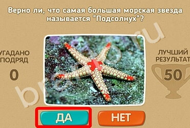 Проверь себя ответы в картинках Уровень 1006