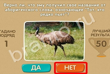 Игра Проверь себя ответы Уровень 1007