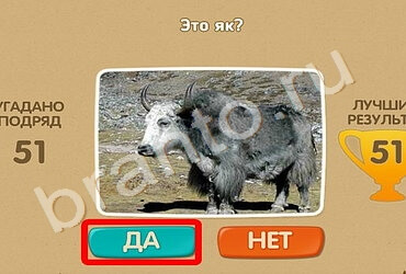 Проверь себя игра ответы в одноклассниках Уровень 1057