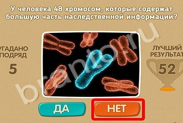 Проверь себя игра подсказки Уровень 1064