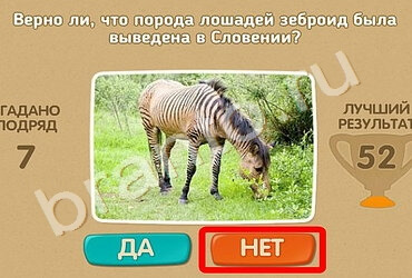 Проверь себя ответы в картинках Уровень 1066