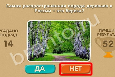 ответы на игру Проверь себя в одноклассниках Уровень 1081