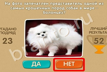 игра Проверь себя ответ на Уровень 1090