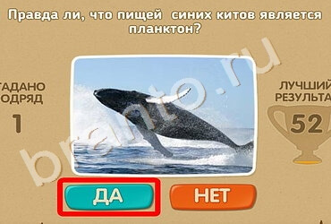 ответы на игру Проверь себя в одноклассниках Уровень 1171