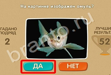 Подсказки на игру Проверь себя Уровень 1172