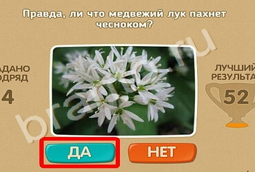 Помощь на игру ОКи Проверь себя Уровень 1174