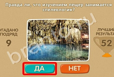 Проверь себя игра помощь Уровень 1185