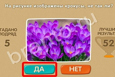 Проверь себя игра подсказки Уровень 1194