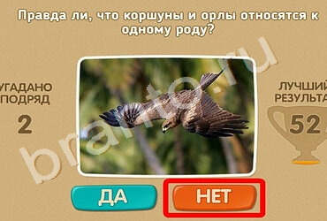 Одноклассники Проверь себя ответы Уровень 1208