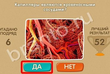 Проверь себя решения Уровень 1212