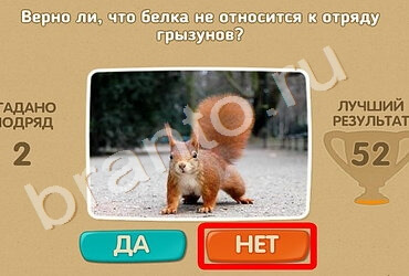 Проверь себя ответы в картинках Уровень 1226