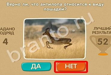 Игра Проверь себя подсказки Уровень 1228