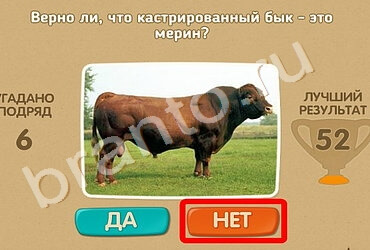 игра Проверь себя ответ на Уровень 1230