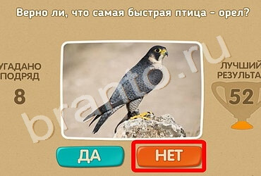 Одноклассники Проверь себя ответы Уровень 1268