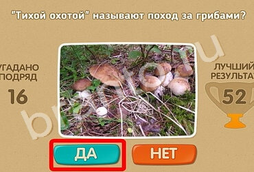 Проверь себя ответы в картинках Уровень 1276