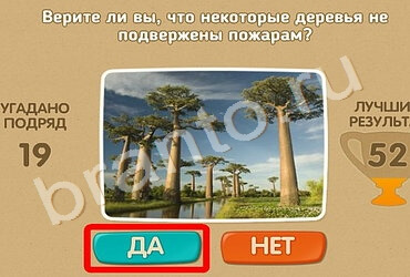 игра Проверь себя помощь Уровень 1279