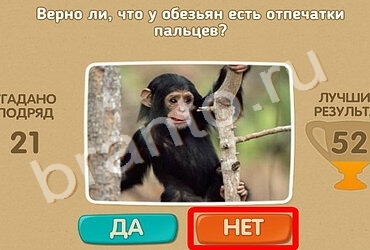 решебник на игру Проверь себя Уровень 1281