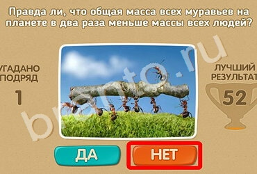 Проверь себя игра ответы Уровень 1283