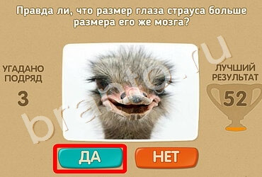 Проверь себя игра помощь Уровень 1285