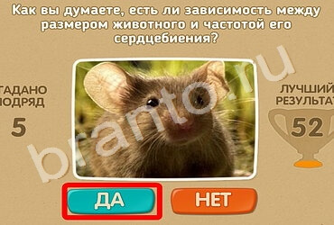 Игра Проверь себя ответы Уровень 1287