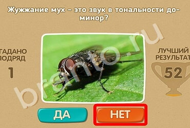 ответы на игру Проверь себя в одноклассниках Уровень 1291