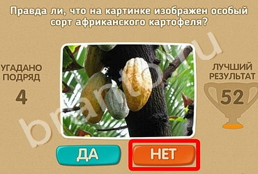 Помощь на игру ОКи Проверь себя Уровень 1294