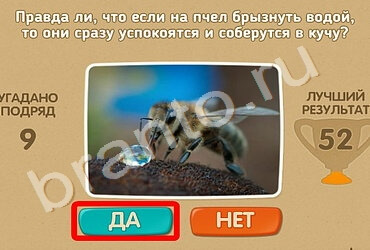 Проверь себя подсказки одноклассники Уровень 1299