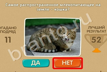 решебник на игру Проверь себя Уровень 1301