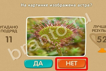 Игра Проверь себя ответы Уровень 1317