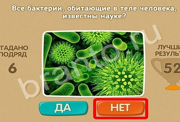 Решения на игру Проверь себя Уровень 1353