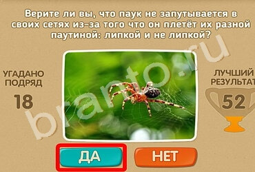 Проверь себя игра помощь Уровень 1365
