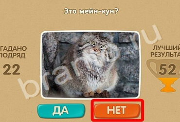 игра Проверь себя помощь Уровень 1369