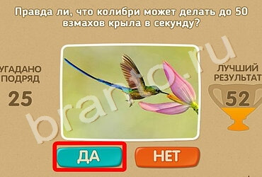 Проверь себя решения Уровень 1372