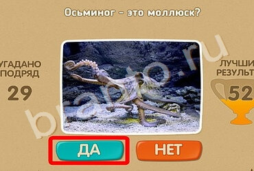 Проверь себя ответы в картинках Уровень 1376