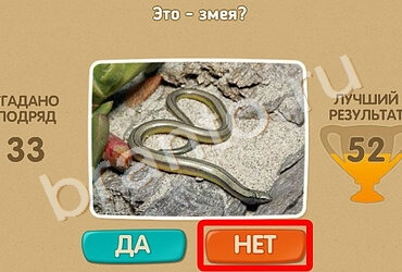 игра Проверь себя ответ на Уровень 1380