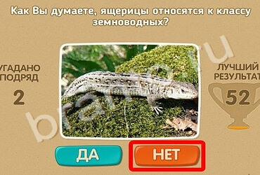 Проверь себя игра подсказки Уровень 1394