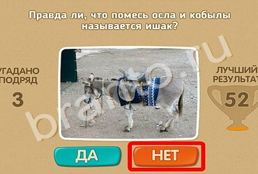 Игра Проверь себя подсказки Уровень 1398