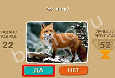 Решения на игру Проверь себя Уровень 1443