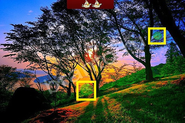 ответы к игре Найди птичек Уровень 35