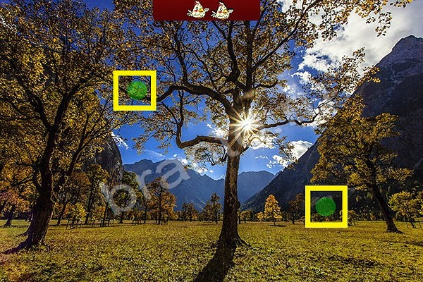 Найди птичек игра подсказки Уровень 44