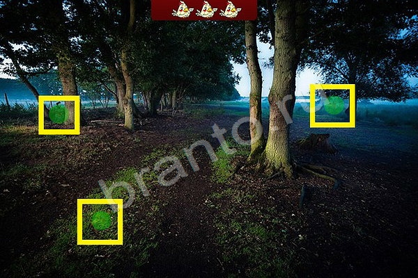 игра Найди птичек ответ на Уровень 50