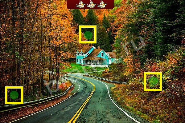 решебник на игру Найди птичек Уровень 51