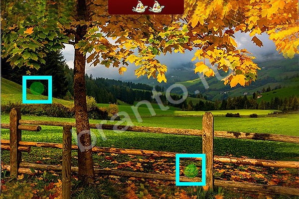 Найди птичек решения Уровень 52